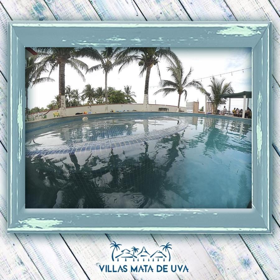 Villas Mata De Uva Heroica Heroica Alvarado エクステリア 写真
